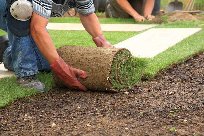 graszoden leggen stappenplan